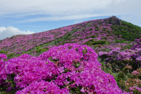 5日(金）~7日(日）　坊ガツル（大船山・北大船山・平治岳）